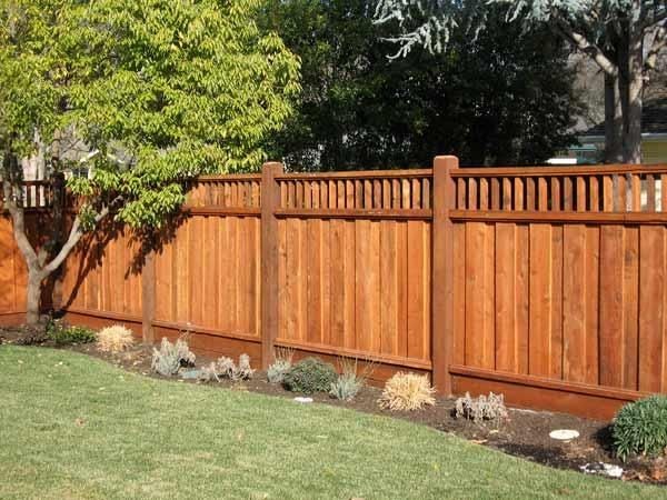 A tall, wooden fence with vertical slats runs through a backyard, bordered by green grass. Various shrubs and small plants are lined at the base of the fence, and a leafy tree partially shades the lawn.